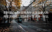 茶杯狐cupfox官网为什么这么多人在用实测结论：优缺点一次讲清（对比后）