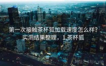 第一次接触茶杯狐加载速度怎么样？实测结果整理，1.茶杯狐