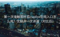 第一次接触茶杯狐cupfox官网入口怎么用？优缺点一次讲清（对比后）