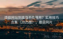蘑菇网站到底值不值得用？实用技巧合集（2025版），蘑菇网片