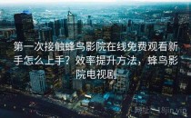第一次接触蜂鸟影院在线免费观看新手怎么上手？效率提升方法，蜂鸟影院电视剧