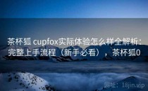 茶杯狐 cupfox实际体验怎么样全解析：完整上手流程（新手必看），茶杯狐0