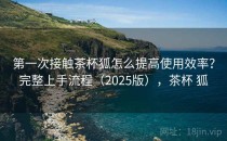 第一次接触茶杯狐怎么提高使用效率？完整上手流程（2025版），茶杯 狐