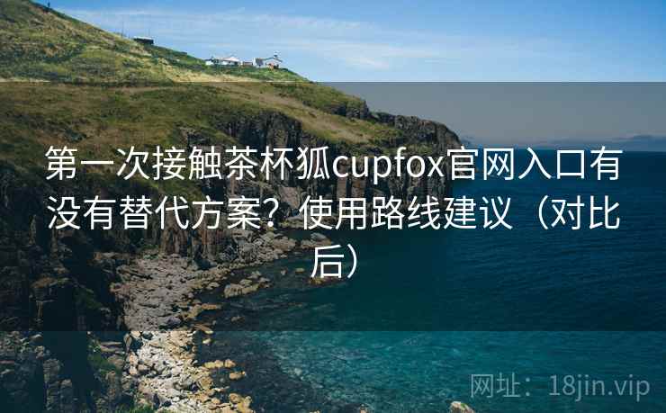 第一次接触茶杯狐cupfox官网入口有没有替代方案？使用路线建议（对比后）  第2张
