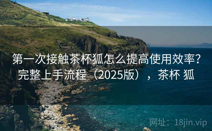 第一次接触茶杯狐怎么提高使用效率？完整上手流程（2025版），茶杯 狐  第1张