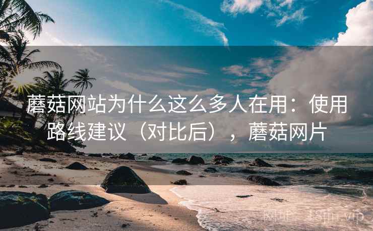 蘑菇网站为什么这么多人在用：使用路线建议（对比后），蘑菇网片  第1张
