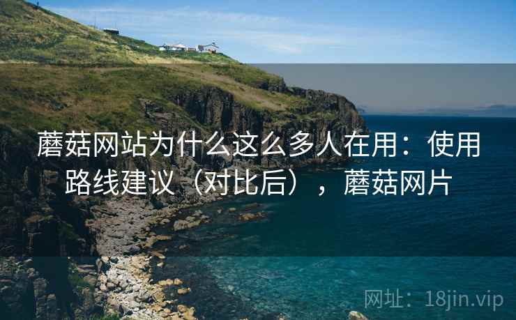 蘑菇网站为什么这么多人在用：使用路线建议（对比后），蘑菇网片  第2张