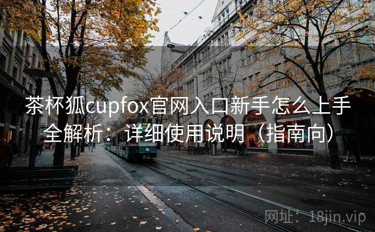 茶杯狐cupfox官网入口新手怎么上手全解析：详细使用说明（指南向）  第2张