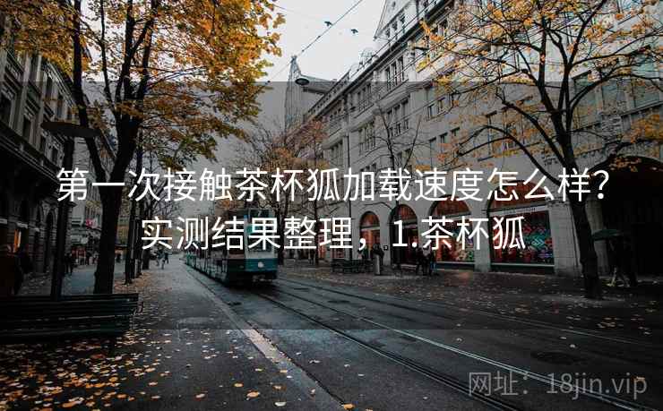 第一次接触茶杯狐加载速度怎么样？实测结果整理，1.茶杯狐  第2张