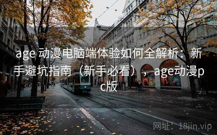 age 动漫电脑端体验如何全解析：新手避坑指南（新手必看），age动漫pc版  第1张