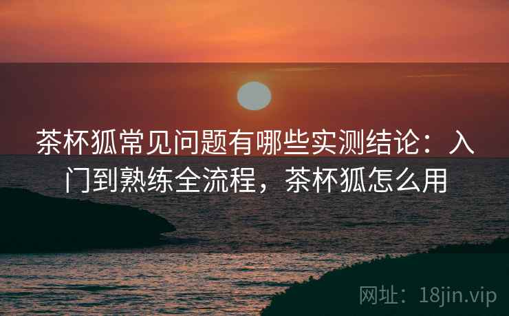 茶杯狐常见问题有哪些实测结论：入门到熟练全流程，茶杯狐怎么用  第2张