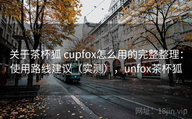 关于茶杯狐 cupfox怎么用的完整整理：使用路线建议（实测），unfox茶杯狐  第2张